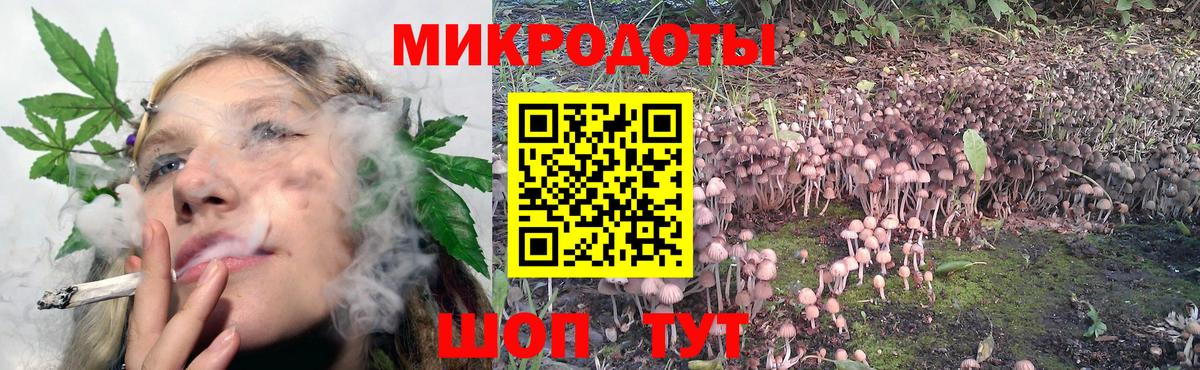 сколько стоит  Рязань  Псилоцибиновые грибы Psilocybe 