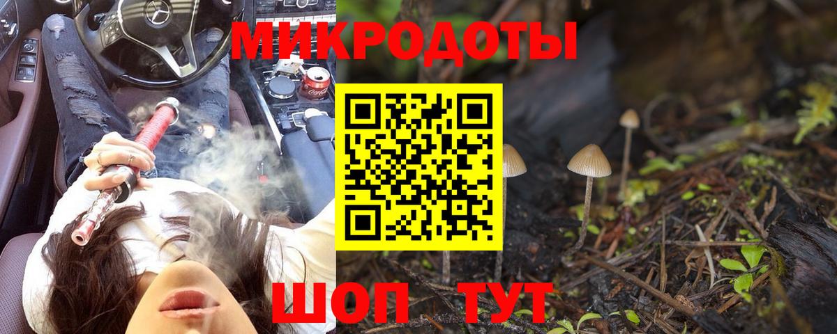 Галлюциногенные грибы Psilocybe Рязань
