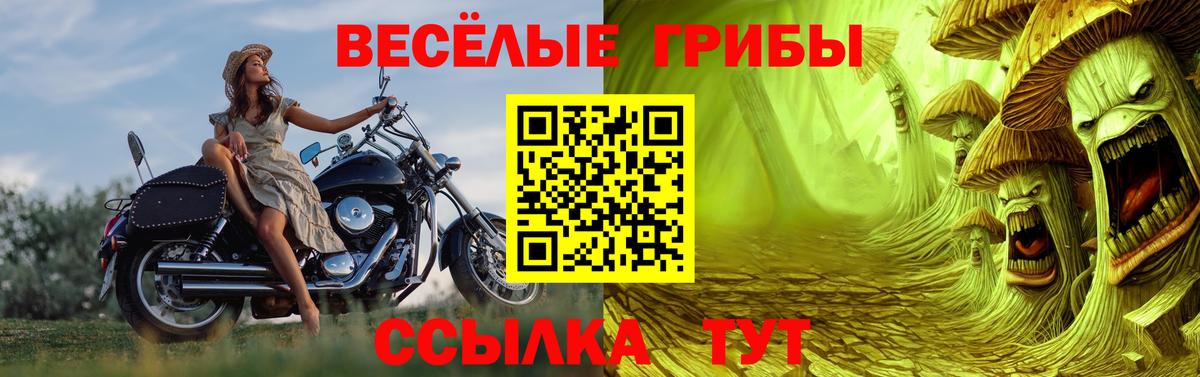 Псилоцибиновые грибы Magic Shrooms Рязань