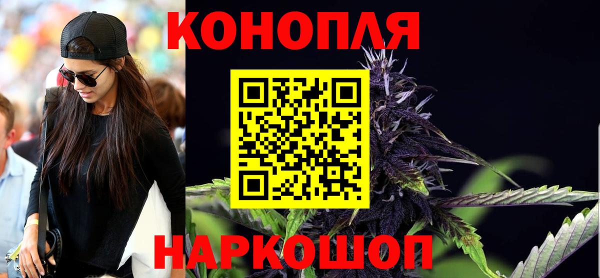 Каннабис сатива Рязань